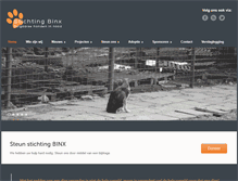 Tablet Screenshot of binx.eu